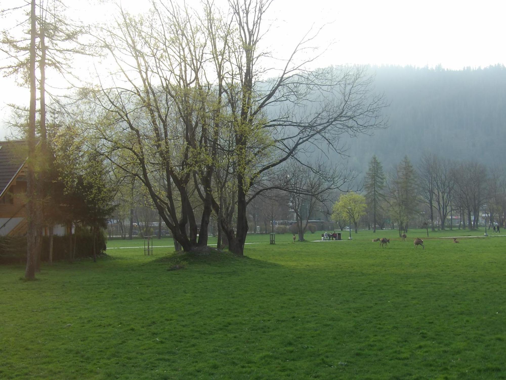 Dworek Na Rowni * Zakopane